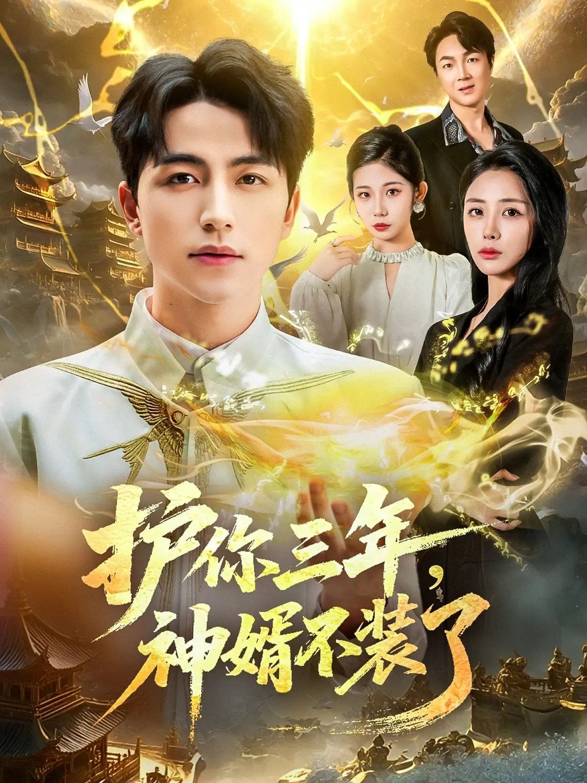 《护你三年,神婿不装了》-资源截图