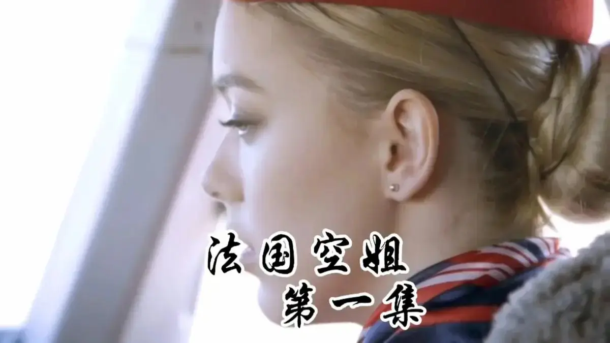 法国空姐/不雅空乘1~3全集啄木鸟系列_高清完整版在线播放_法国空姐1-3集无删减_私人航空题材限制级电影HD画质_91影视免费观看