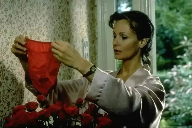 《不忠的妻子》-资源截图