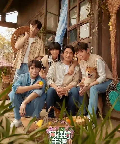 《向往的生活》第八季全12期完整版_向往的生活8高清资源免费看_2025最受欢迎综艺向往的生活第八季在线播放